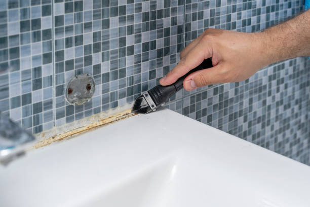 Best Residential Mold Remediation in Auburn Lake Trails, CA