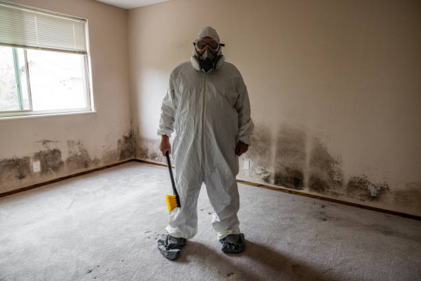 Reliable Auburn Lake Trails, CA Mold Remediation Solutions